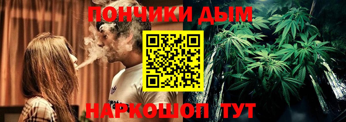 Шишки марихуана план  Марихуана семена  Каннабис SATIVA & INDICA  Красноярск  Вход с VPN 